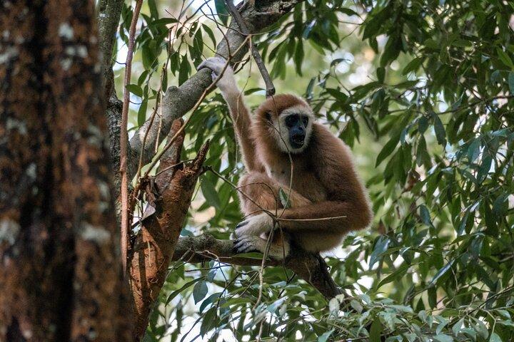 2-Daagse Ethische Jungle Trek in Sumatra