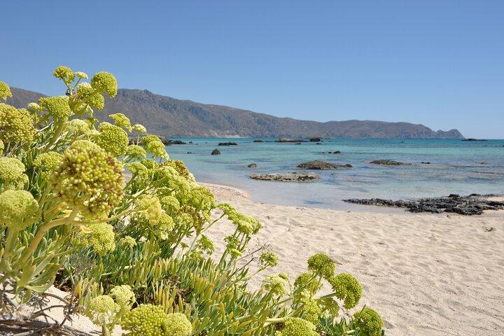 Viagem de um dia para Elafonissi Beach