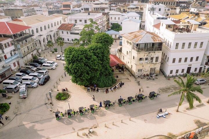 Visite privée en pousse-pousse électrique à Zanzibar