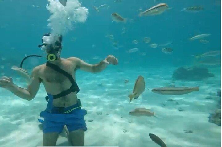 Pakkerejser til snorkling, hooka dykning og parasailing