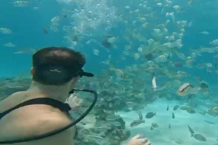 Pakkerejser til snorkling, hooka dykning og parasailing