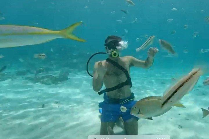 Private Catamaran with Parasailing / Snorkeling / Hooka Diving