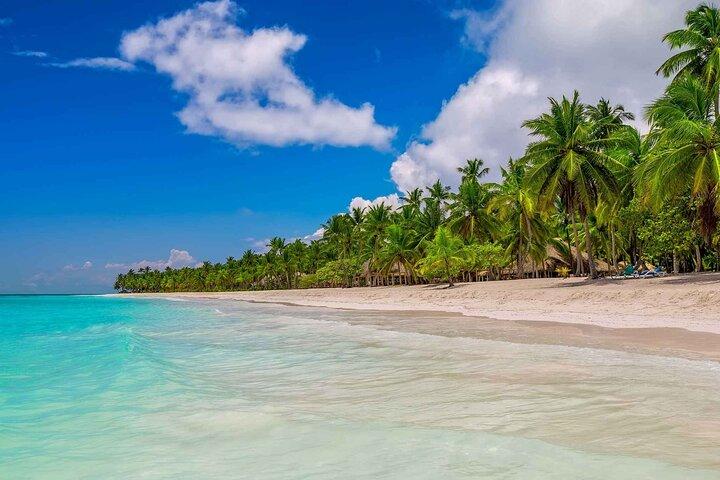 Alt inklusive guidet tur til Saona-øerne fra Punta Cana