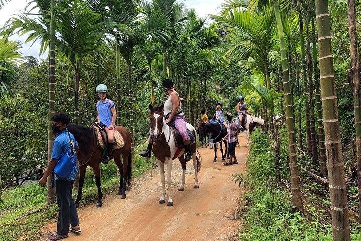 Phuket: Malerisches Reitabenteuer