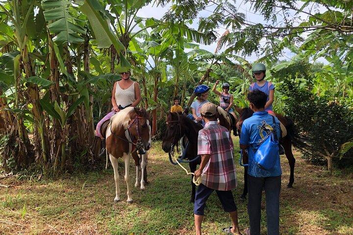 Phuket: Malerisches Reitabenteuer