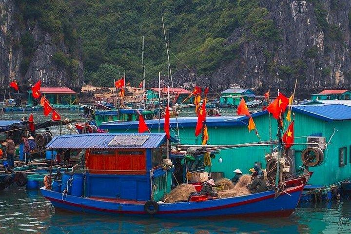 カットバ島発：カヤック、サイクリング、ランチ付きのランハー湾日帰り旅行