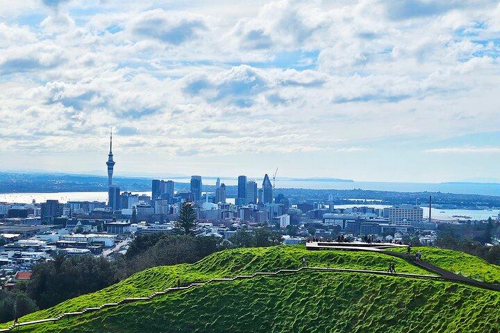 Auckland City Highlights Private Tour