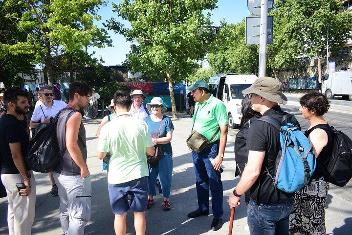 Small Group: Hagia Sophia Tickets Included Best of Istanbul Tour