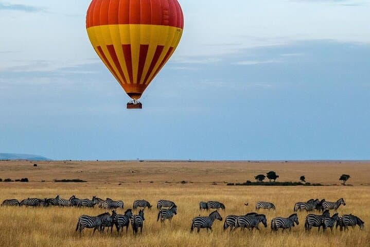 3-Day Masai Mara Safari Tour