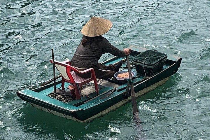 隠された宝石、洞窟、手つかずの美しさを巡る白土龍湾日帰りクルーズ