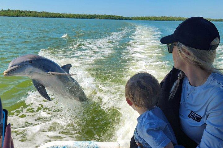 Everglades Tour w / Biologist Led WET walk + 2 Bootsausflüge + Mittagessen!