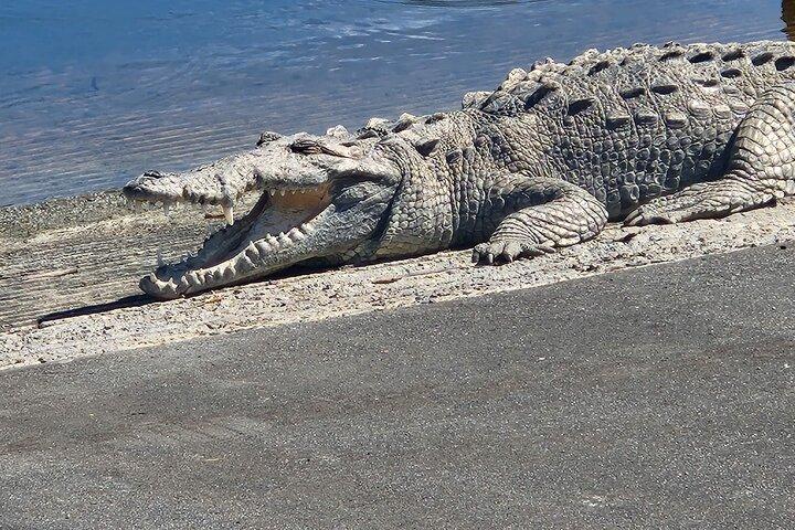 Everglades National Park: 3 Hikes + 90 minute Boat Tour + Lunch