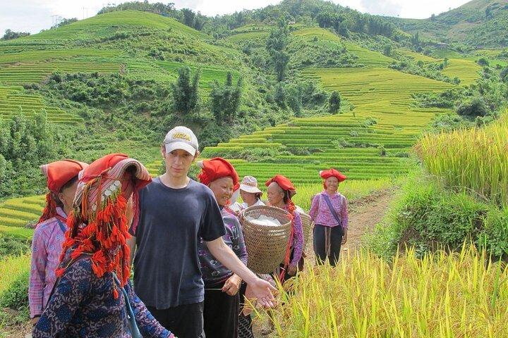 Trekking de 2 jours à Sapa au départ de Hanoi et retour