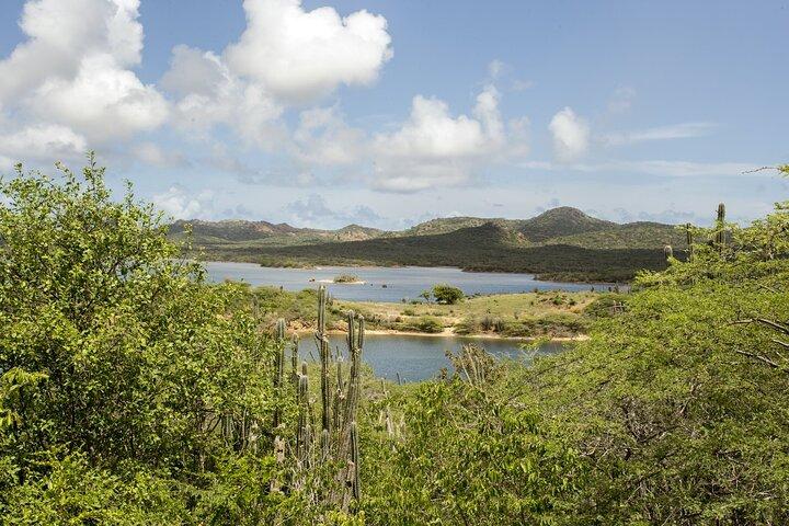 Tour individual de 4 horas por la isla para 1 a 12 personas