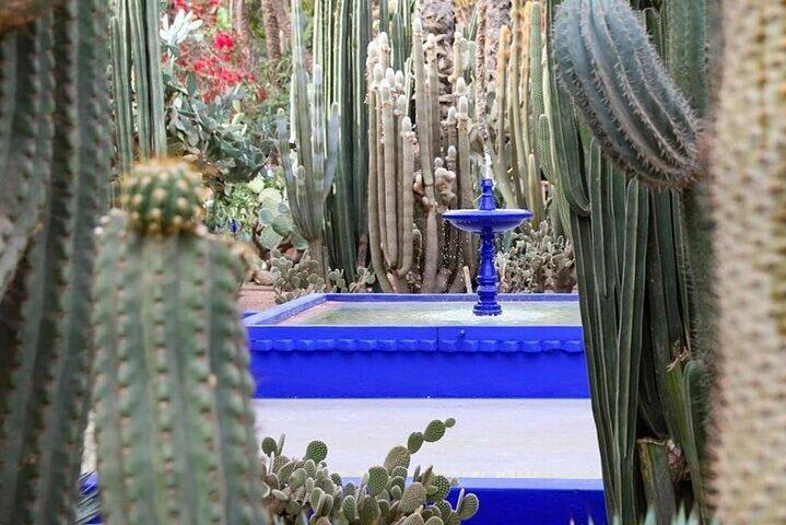 Majorelle Garden e Palmeraie Camel Ride em Marrakech