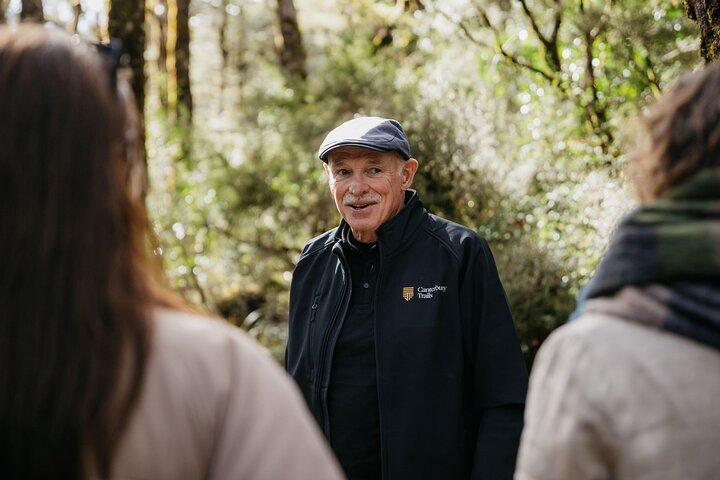 Arthur's Pass Discovery og TranzAlpine Train - Small Group Tour