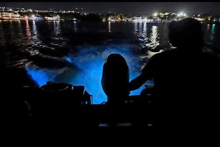 Luminous Lagoon 5 in 1 Experiences