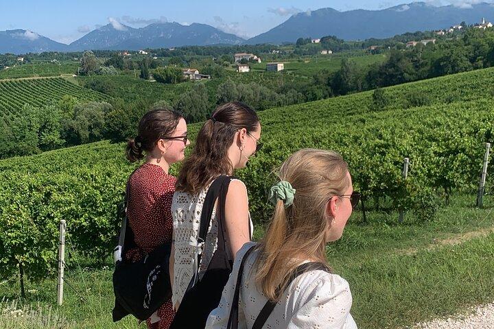 Visite privée tout compris des collines Prosecco - 2 vignobles et déjeuner.