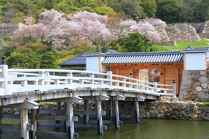 Tokyo Shogun's Castle Walk: Imperial East Gardens Shared Tour