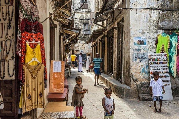 Private Guided Walking Tour in Stone Town