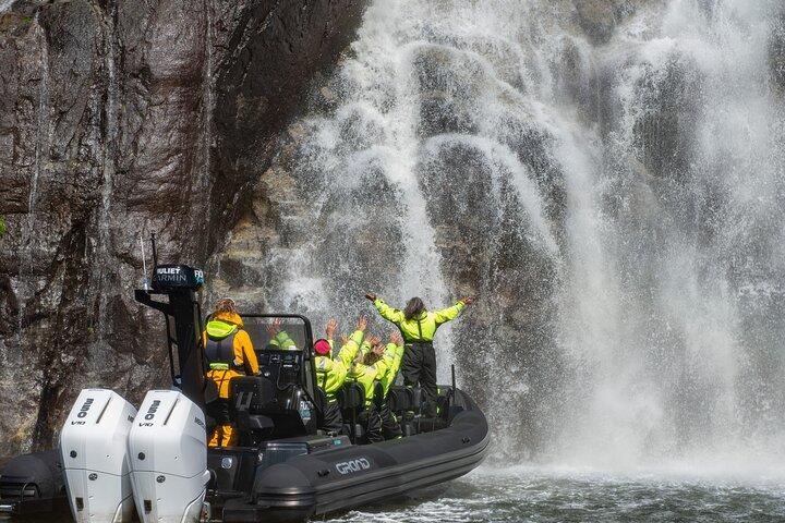 Lysefjord RIB Safari från Stavanger