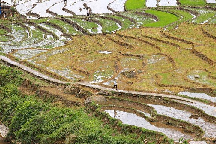 Full Day Cultural Tour in Sapa Terraces