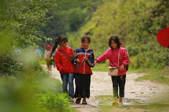 Full Day Cultural Tour in Sapa Terraces