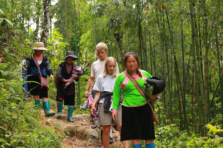 Full Day Cultural Tour in Sapa Terraces