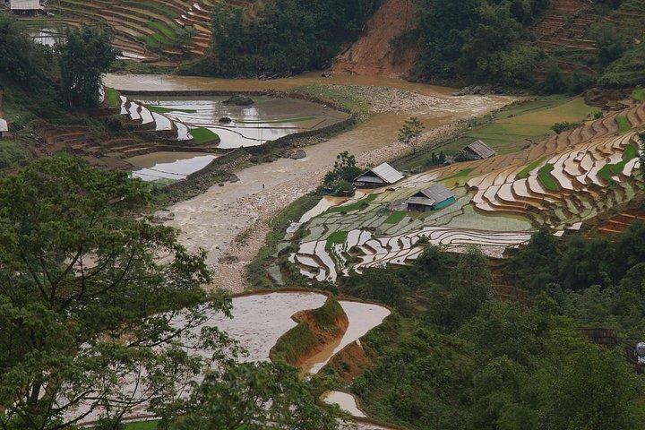 Full Day Cultural Tour in Sapa Terraces