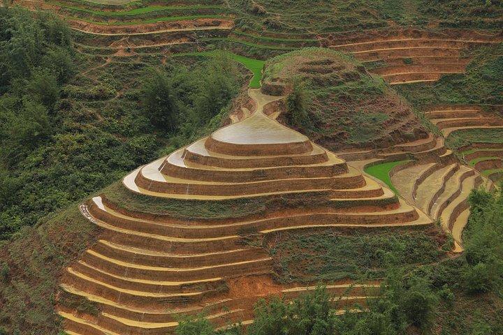 Full Day Cultural Tour in Sapa Terraces
