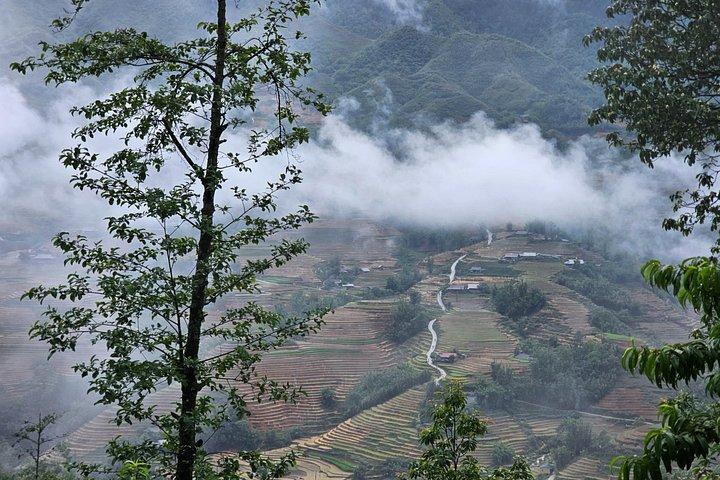 Full Day Cultural Tour in Sapa Terraces