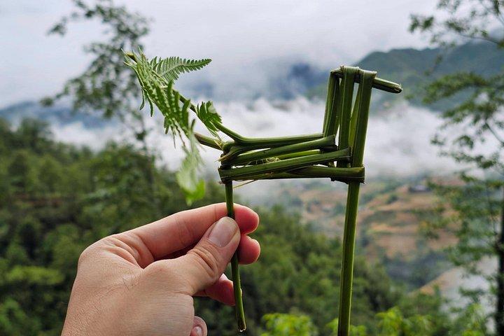 Full Day Cultural Tour in Sapa Terraces