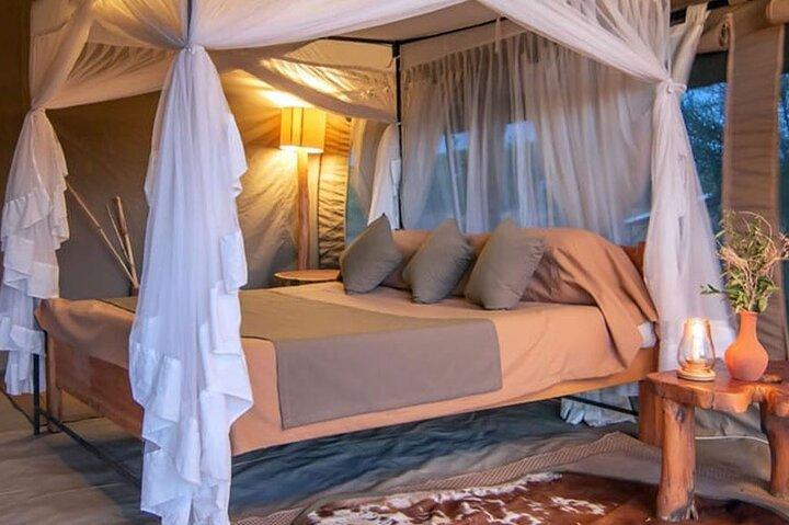 Safari di 4 giorni ad Amboseli e Tsavo con alloggio