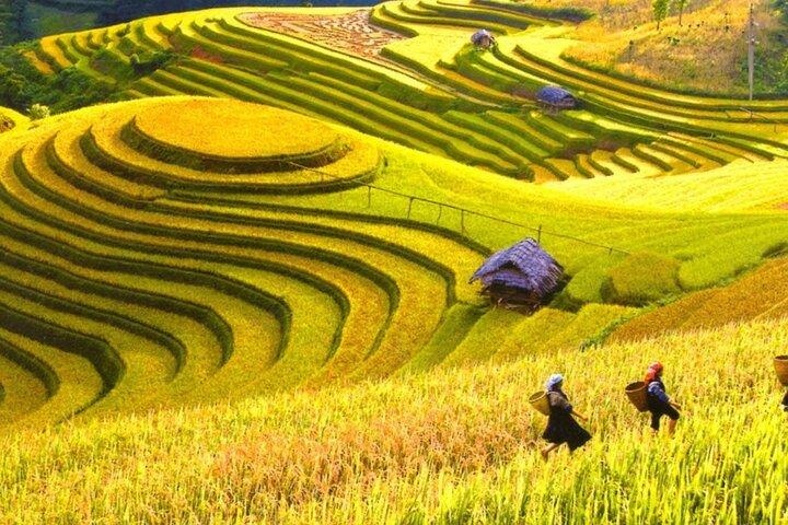 Ganztägige Gruppentour in Mai Chau