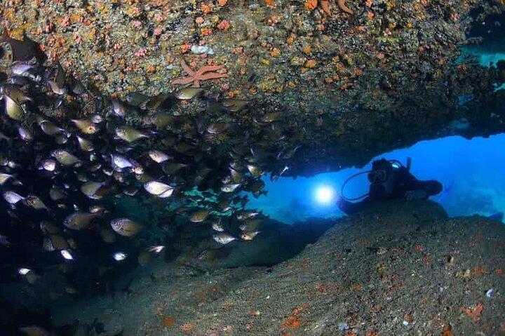 Explorando el buceo para buceadores no certificados en Nha Trang