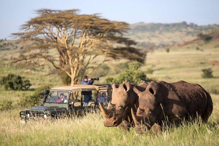 Tour di 3 giorni di avventura economica nel Maasai Mara