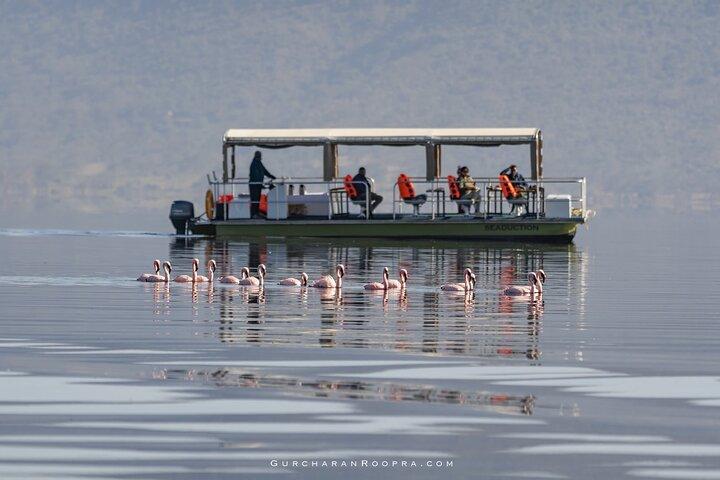 Tour privato di 4 giorni al lago Nakuru e al Maasai Mara Safari