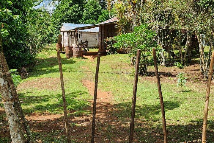 Tour privato della città e della campagna a Puerto Plata