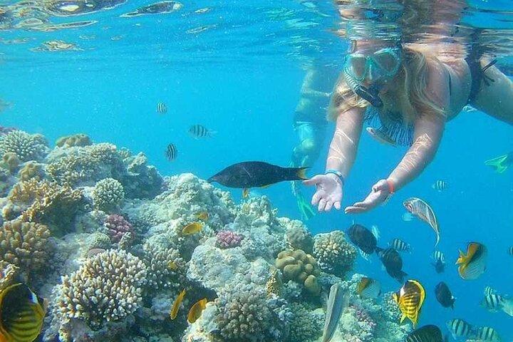 Schnorcheltour zur Orange Bay und den Giftun-Inseln ab Hurghada