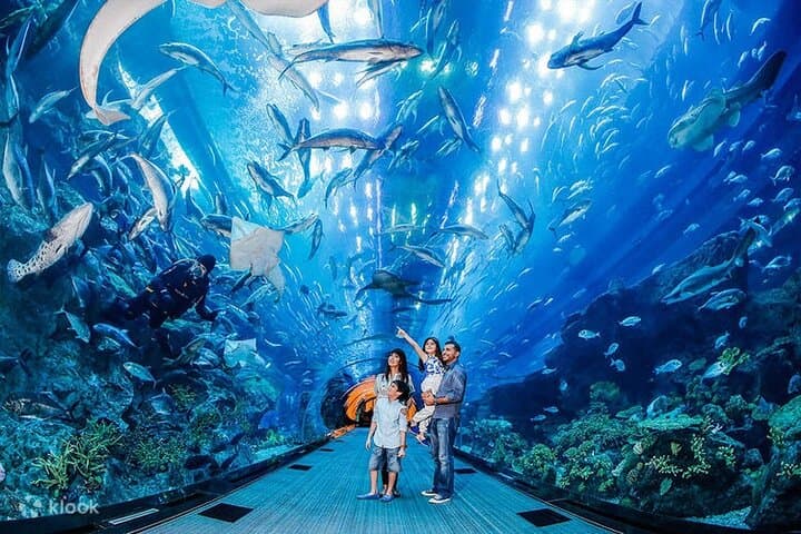 Dubai Aquarium and Underwater Zoo
