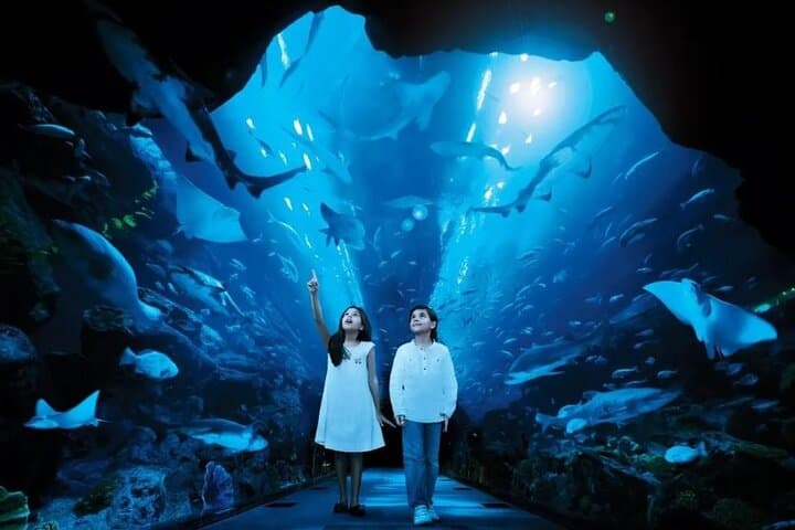Dubai Aquarium and Underwater Zoo