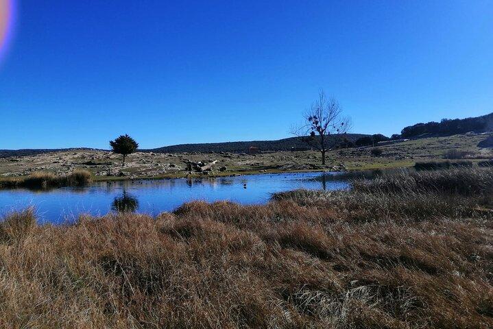 Gita di un giorno da Fez alle montagne del Medio Atlante, alla foresta di cedri e ad Azrou