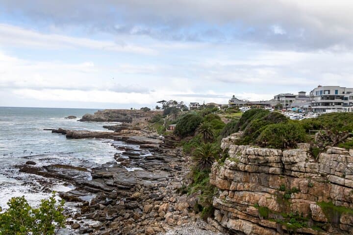 Private Full Day Hermanus Tour
