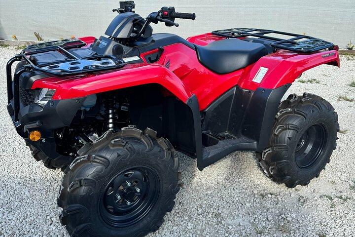The Ultimate Miami ATV Escape : Sunset Glow & Sunflower Tours