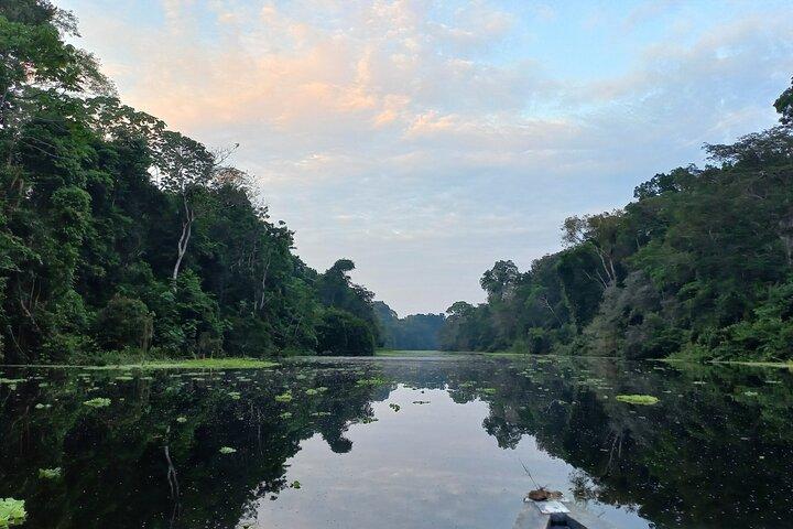 Iquitos: Exploração da vida selvagem ao longo do Rio Negro | Full Day