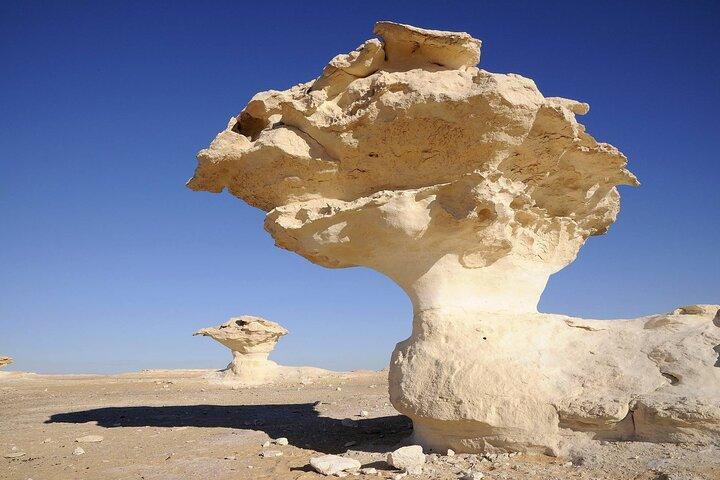 Découvrez les oasis d'Egypte en 2 jours guidés