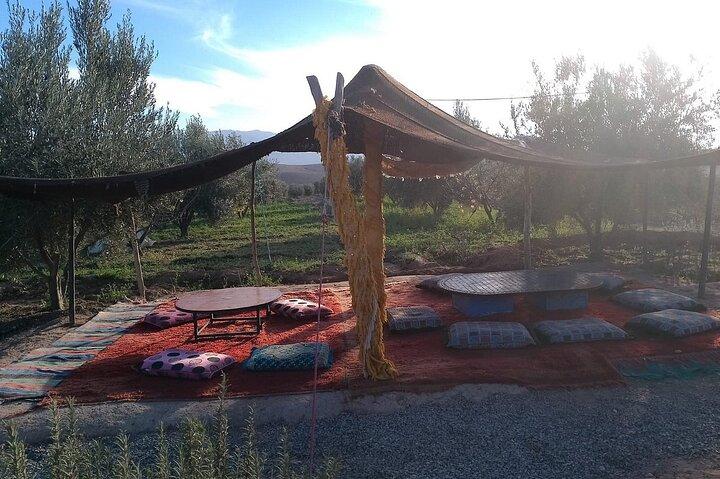 Atlas Mountains tour with camel ride, hike & lunch