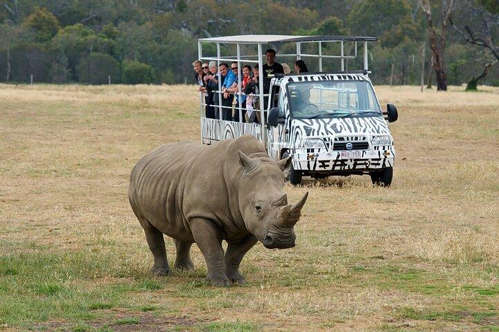 Visite du zoo et du manoir de Werribee