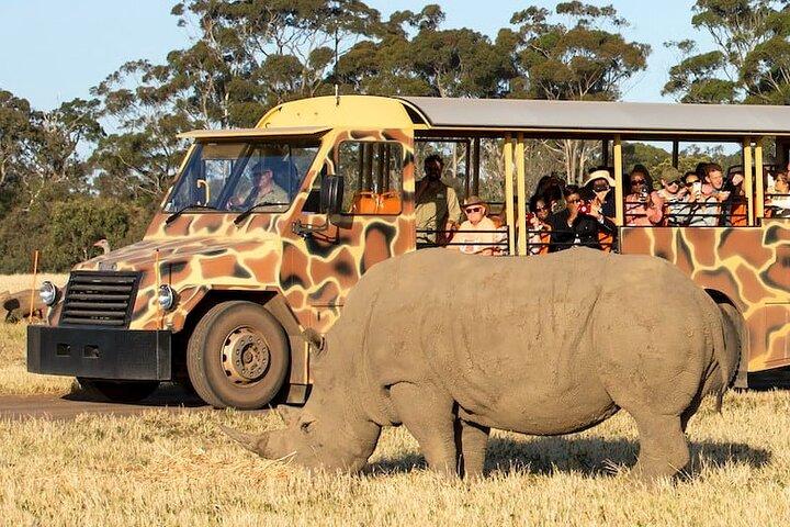 Visite du zoo et du manoir de Werribee