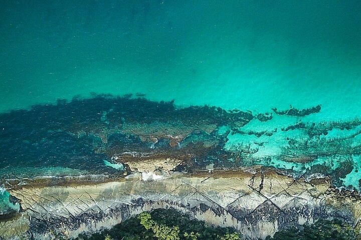 シドニー発ジャービス湾、キアマ、カンガルーバレー日帰り旅行（PVT）